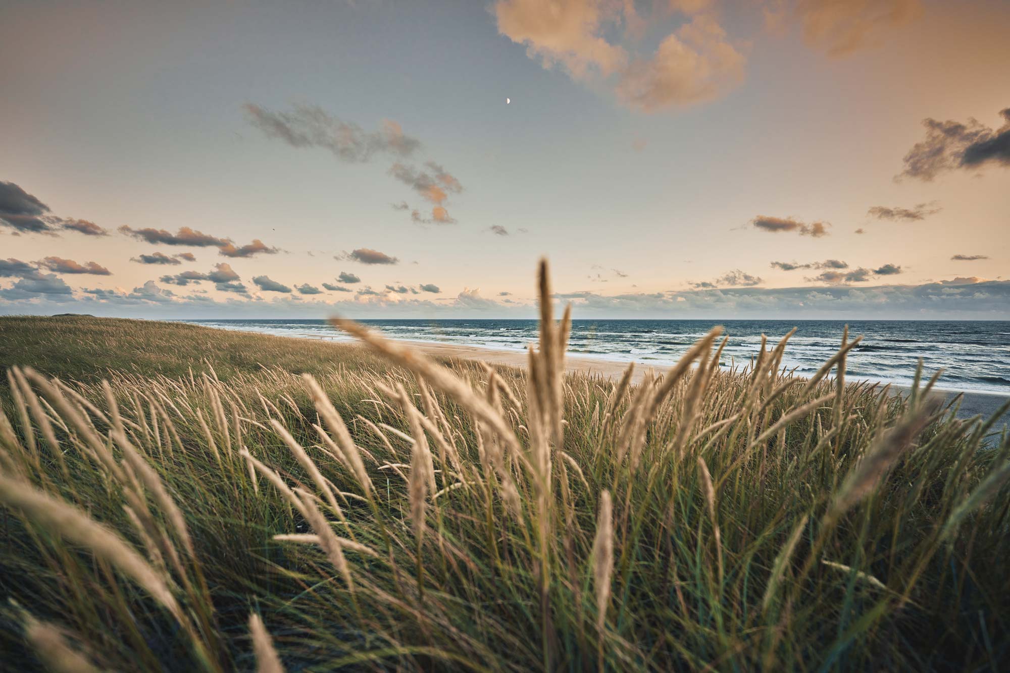 Strand med vatten och gräs