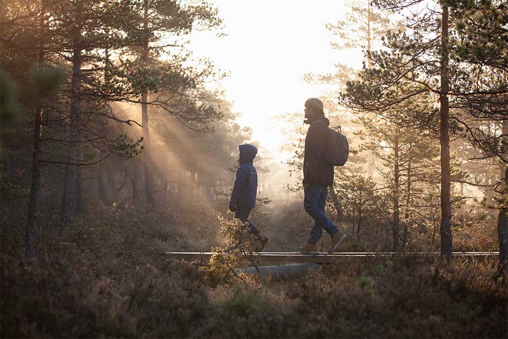 Pappa och barn i skogen